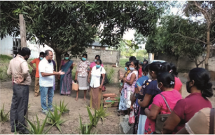 About the cultivation 4