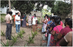 About the cultivation 5