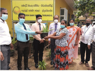 About the cultivation 6