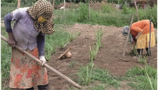 About the cultivation 8