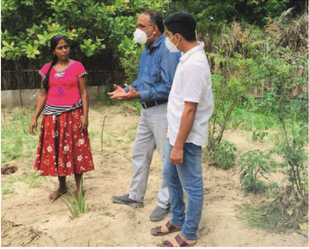 About the cultivation 9