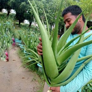 whatsapp image 2025 12 03 at 09.21.16 (1) whatsapp image 2025 12 03 at 09.21.16 (1)