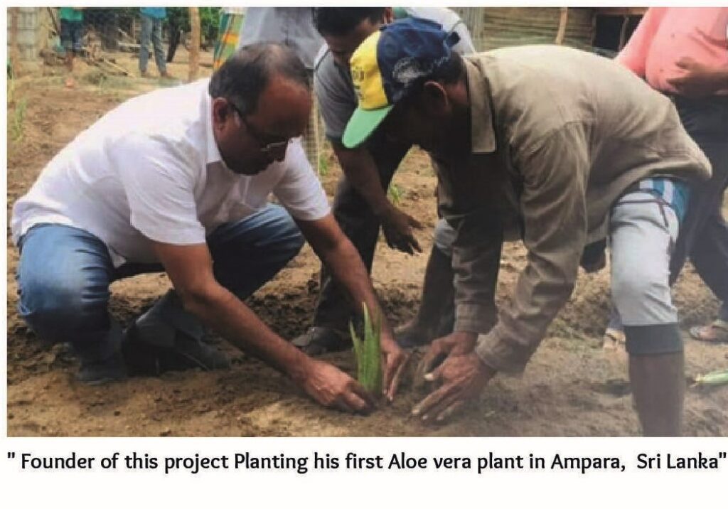 e9ac2e19 ed85 40ff a640 08dae52d65a9 10