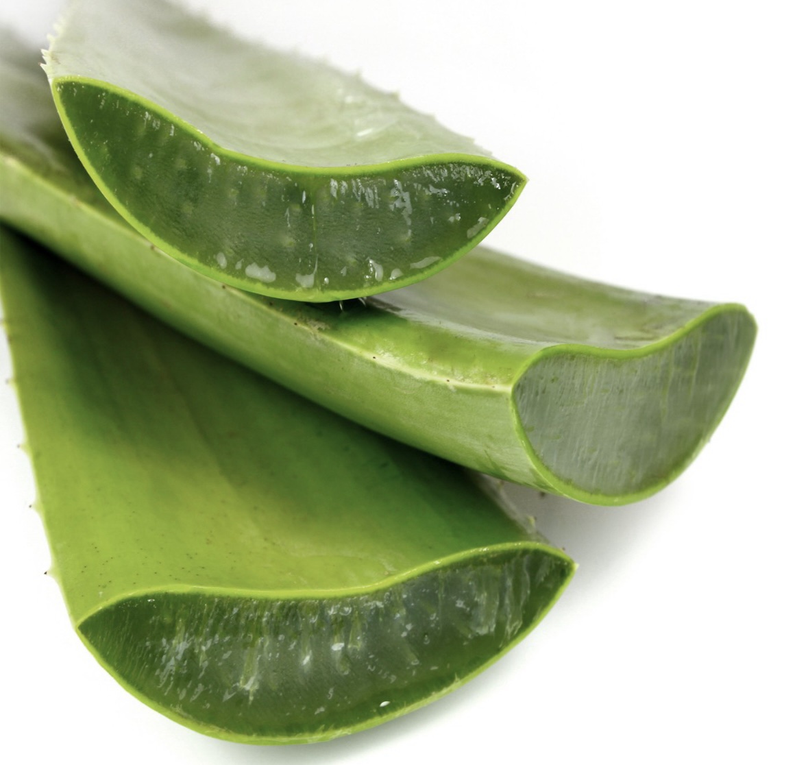 screenshot screenshot